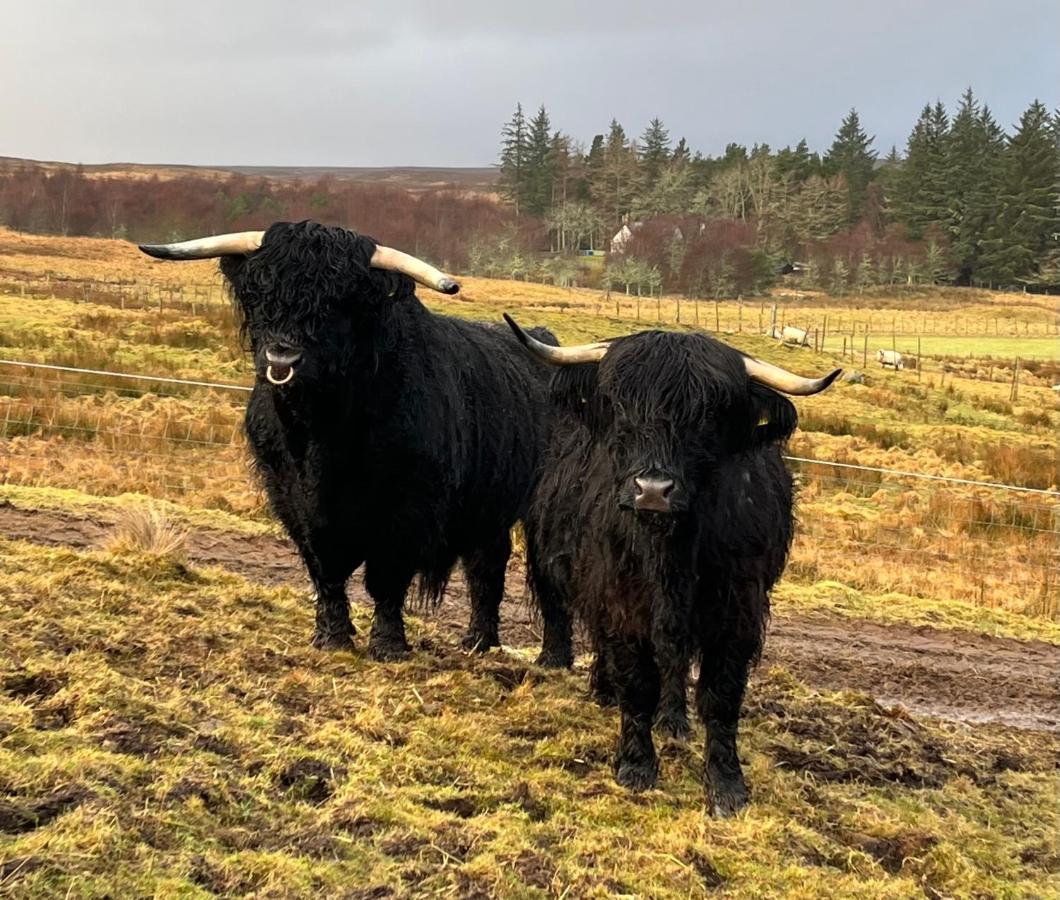 Traditional 2 Bed Croft *